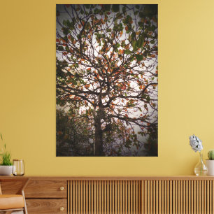 Toile Arbre