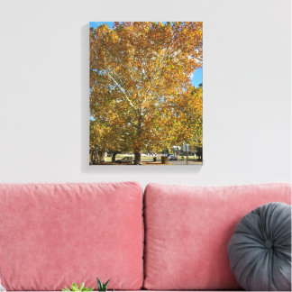 Toile Arbre à l'heure dorée