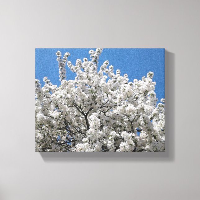 Toile Arbre à pommes de neige printanières en fleurs (Recto)