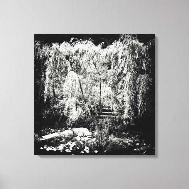 Toile Arbre à saule de pleurs dramatiques au-dessus du b (Recto)