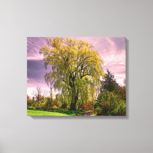 Toile Arbre à saule plumant