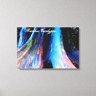 Toile Arbre arc-en-ciel d'Eucalyptus d'Hawaii
