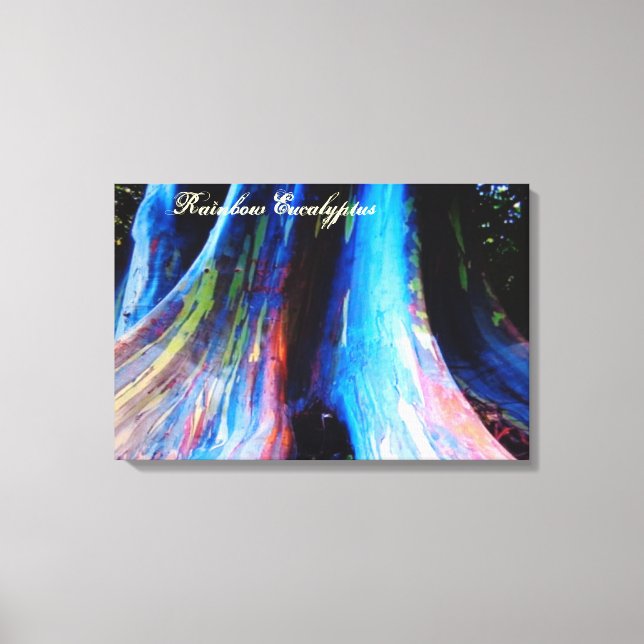 Toile Arbre arc-en-ciel d'Eucalyptus d'Hawaii (Recto)