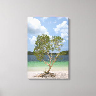 Toile ARBRE BILLABONG 16x24