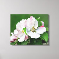 Arbre de pomme en fleurs Canvas de printemps art m