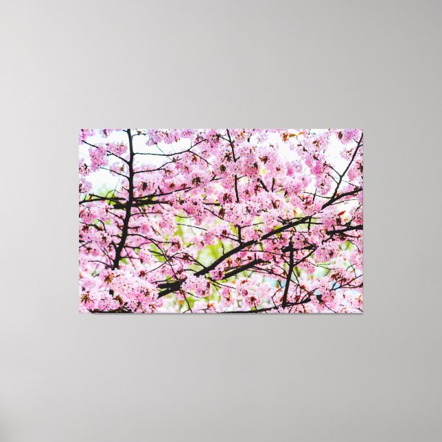 Toile Arbre de Sakura en pleine floraison rose au printe (Recto)