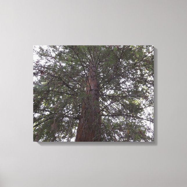 Toile Arbre de taille (Recto)
