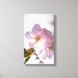 Toile Arbre en fleurs du printemps