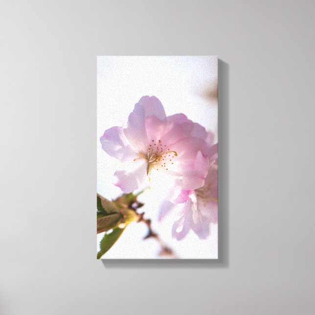 Toile Arbre en fleurs du printemps (Recto)