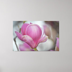 Toile Arbre Fleur de Magnolia