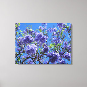 Toile Arbre Jacaranda