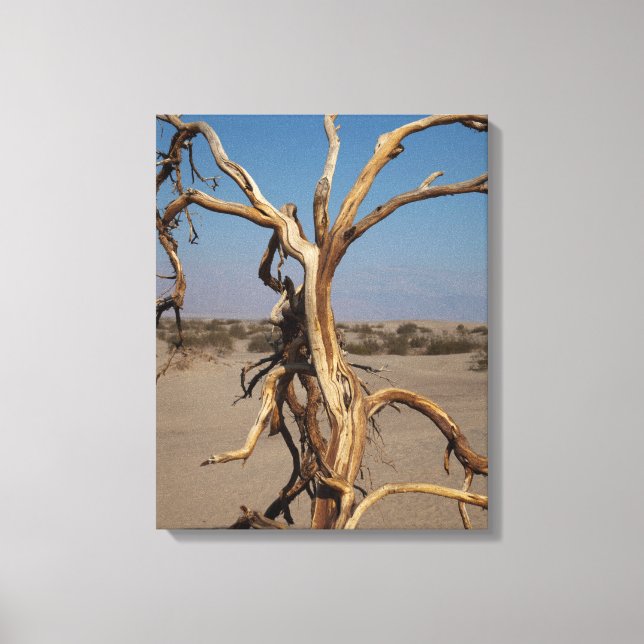 Toile Arbre mort (Recto)