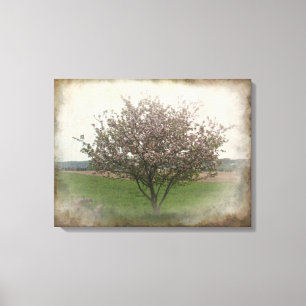 Toile Arbre pomme en fleurs