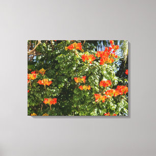 Toile Arbre tropical   Fleurs orange