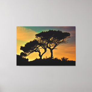 Toile Arbres