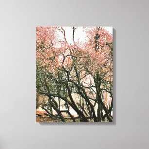 TOILE ARBRES