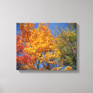 Toile Arbres d'automne colorés