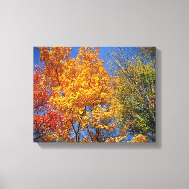 Toile Arbres d'automne colorés (Recto)