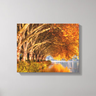 Toile Arbres d'automne sur un lac