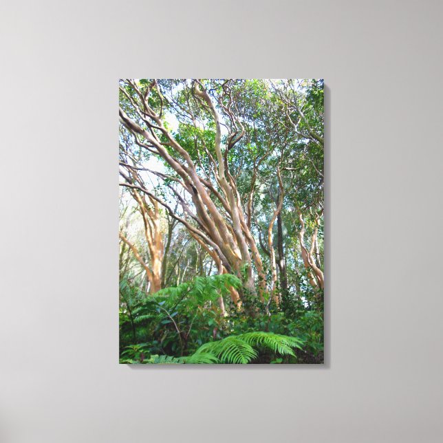 Toile Arbres de goyaves fraises (Recto)