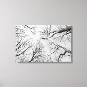 Toile Arbres sans feuilles en bois de Thiepval