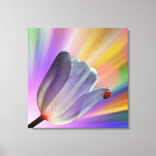 Toile Arc en ciel, tulipes et coccinelle