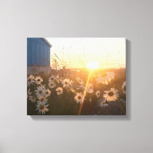 toile arctique de coucher du soleil