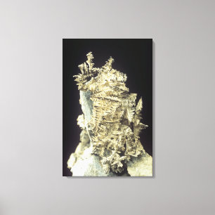 Toile Argent indigène (AG) sur la chaux, Canada