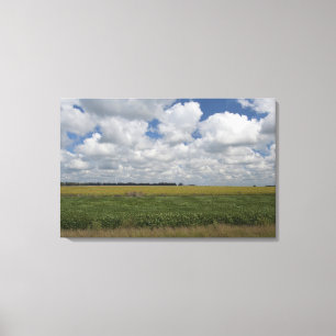 Toile Argentine, Buenos Aires, San Antonio de Areco.