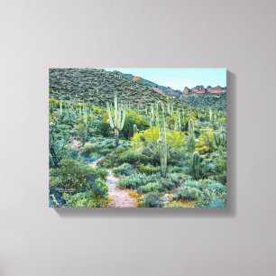 Toile Arizona Désert Randonnée Saguaro Cactus Forêt 14x1