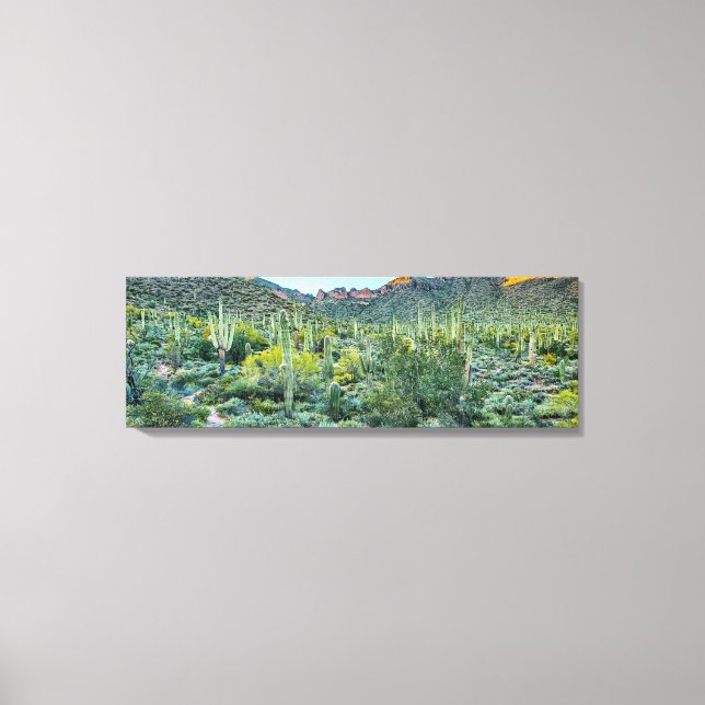Toile Arizona Désert Randonnée Saguaro Cactus Forêt 36x1 (Recto)