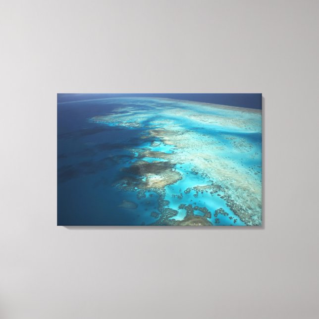Toile Arlington Reef, Great Barriere Marine Park, (Recto)