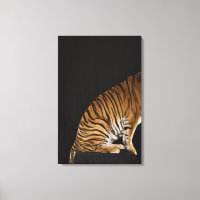 Arrière du tigre assis sur la plateforme
