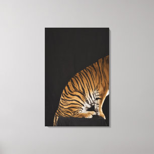 Toile Arrière saison de tigre se reposant sur la