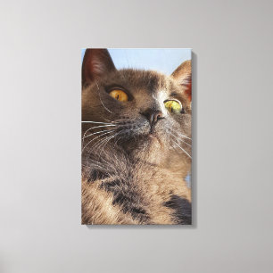 Toile Art animal