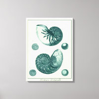 Art de coquillage rouge et vert