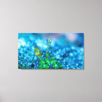 Toile Art - Herbe avec gouttes d'eau