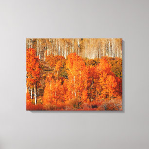 Toile Art Orange Aspen Automne Automne Canvas Art Imprim
