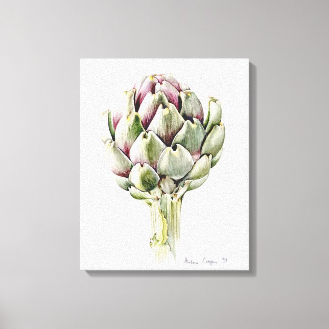Toile Artichoke Study 1993 (Recto)
