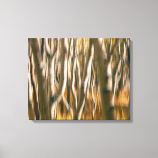 Toile Aspen Trees Abstraits (Recto)