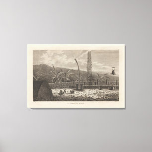 Toile Atooi Morai, Hawaï