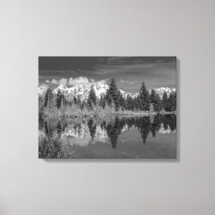 Toile Atterrissage de Schwabacher