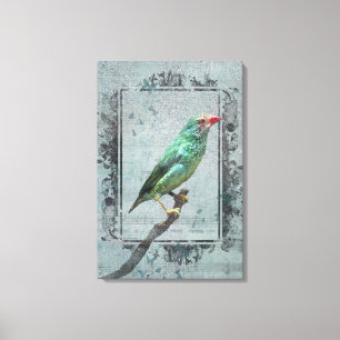 Toile Australian Star Finch sur la musique