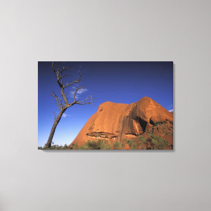 Toile Australie, parc national d'Uluru Kata Tjuta, Uluru