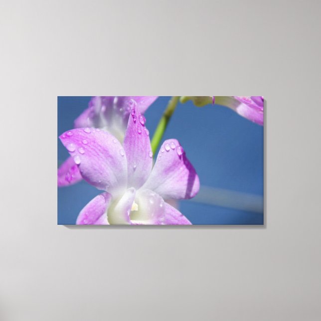 Toile Australie, Territoires du Nord, Darwin (Recto)