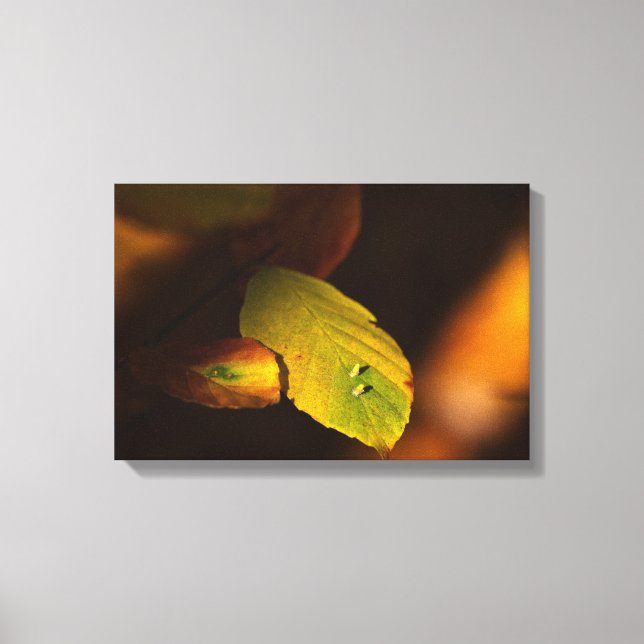 Toile Automne (Recto)