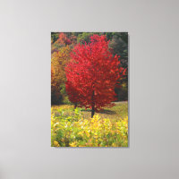 Automne Accueil Cadeaux | Red Maple Feuilles
