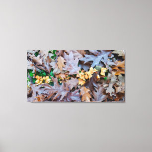 Toile Automne avec champignons jaunes et feuilles tombés