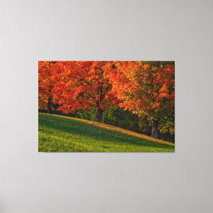 Toile Automne En Nouvelle-Angleterre Galerie Wrap Canvas