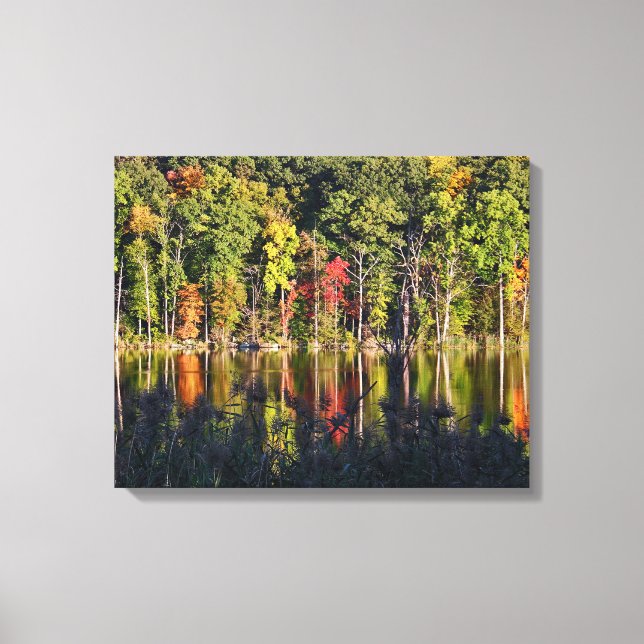Toile Automne Sur Beardsley Pond (Recto)